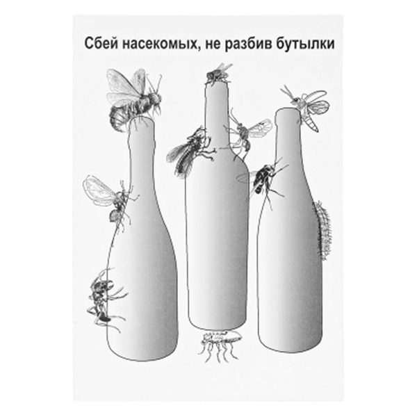Мишень Бутылки